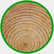 ochrana dřeva